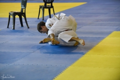 51742989502_fea72d276d_o