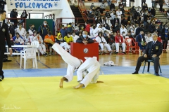 51743724371_773cdf15aa_o