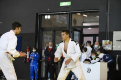 51743871573_f2a12854ba_o