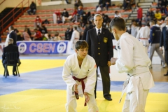 51743893783_58e0417a2d_o