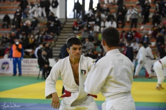 51743926778_61fc72b1bf_o