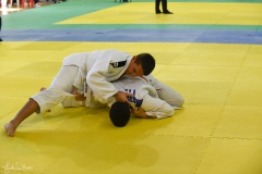 51743927668_58776dd615_o