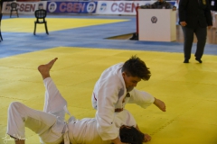 51743936463_baccafd8af_o