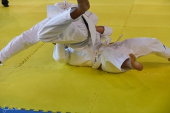 51743996068_a22b33a066_o