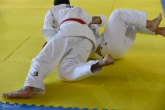 51743998953_34544697dd_o