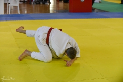 51744007173_0d9ff12fdc_o