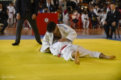 51744029468_693e727168_o