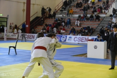 51744042138_095504fa04_o