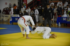 51744110239_ef3e4b4eda_o