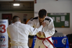 51744201484_073483db47_o