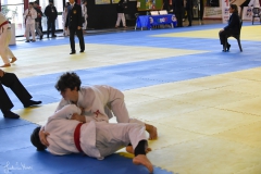 51744316059_94ba3b5cf3_o