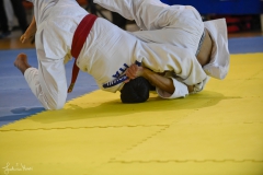 51744384404_8d8905d65f_o