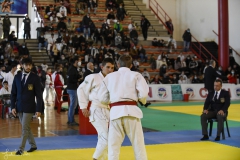 51744407119_79f01f4101_o