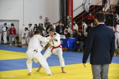 51744415385_86b1bfe23e_o