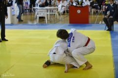 51744484920_e97f52fea5_o