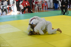 51744569235_ff5cc3e487_o