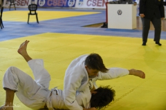 51744584050_6e0fd71663_o