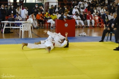 51744615955_15f1cc6962_o