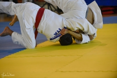 51744631690_420f98205c_o